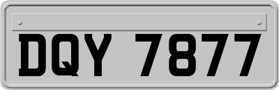 DQY7877