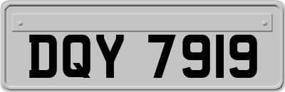 DQY7919