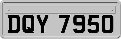 DQY7950