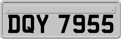 DQY7955