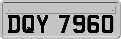 DQY7960