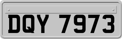 DQY7973