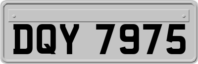 DQY7975