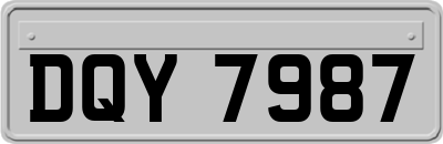 DQY7987