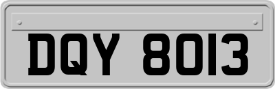 DQY8013