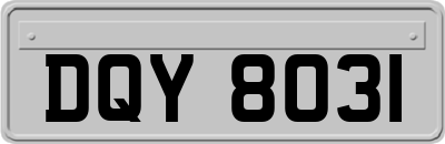 DQY8031