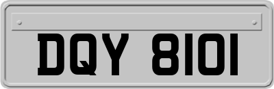 DQY8101