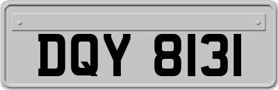 DQY8131
