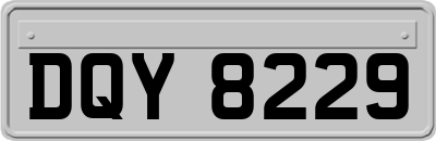 DQY8229