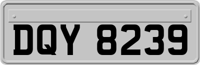 DQY8239