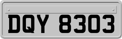 DQY8303