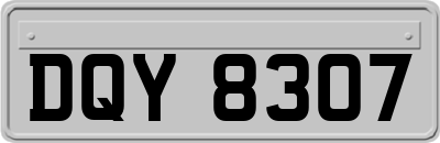 DQY8307