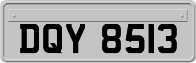 DQY8513