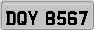DQY8567