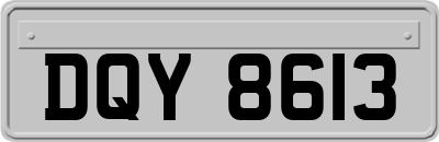 DQY8613