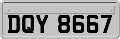DQY8667