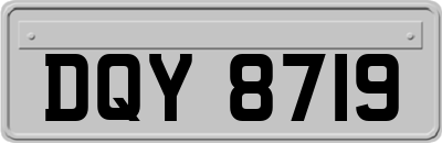 DQY8719
