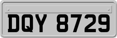 DQY8729