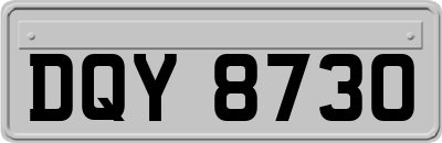DQY8730