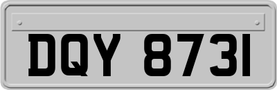 DQY8731