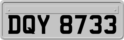 DQY8733