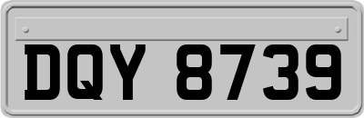 DQY8739