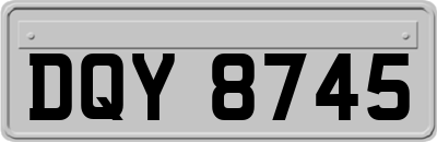 DQY8745