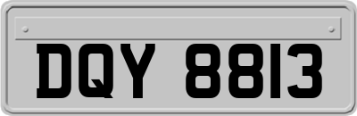 DQY8813
