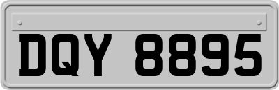DQY8895