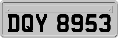 DQY8953