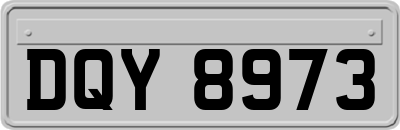 DQY8973