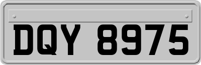DQY8975