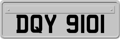 DQY9101