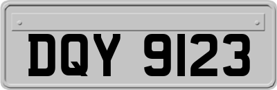 DQY9123