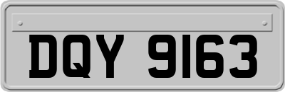 DQY9163