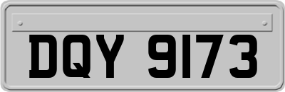 DQY9173