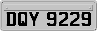 DQY9229