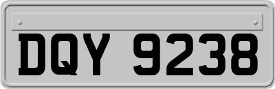 DQY9238