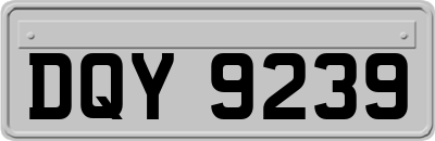 DQY9239