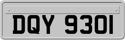 DQY9301