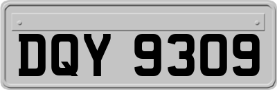 DQY9309