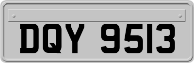 DQY9513