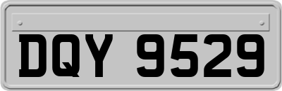 DQY9529