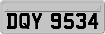 DQY9534