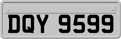 DQY9599