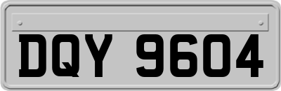 DQY9604