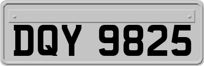 DQY9825