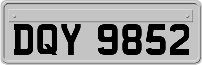 DQY9852