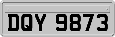 DQY9873