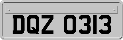 DQZ0313
